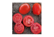 1509 F1 - томат детермінантний, Lark Seeds (Ларк Сідс), США фото, цiна